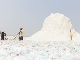 Produtores de sal precisam de 12 mil Kg de iodo/ano a pre&ccedil;os acess&iacute;veis - DR