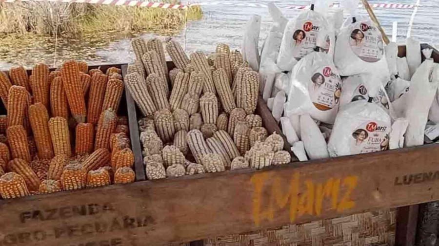 Moxico reafirma agricultura como motor do desenvolvimento econ&oacute;mico
