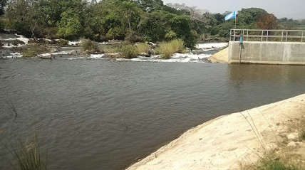 Per&iacute;metro irrigado no Cuanza-Norte