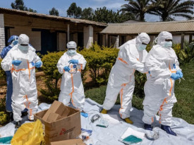 Peritos da ONU apelam a uma resposta mais robusta ao &eacute;bola na RDC  - DR