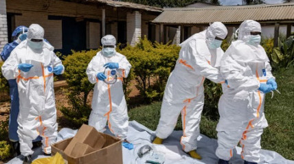 Peritos da ONU apelam a uma resposta mais robusta ao &eacute;bola na RDC 