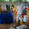 Nig&eacute;ria desmantela o maior laborat&oacute;rio de metanfetaminas do pa&iacute;s