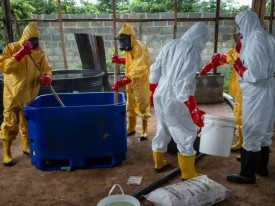 Nig&eacute;ria desmantela o maior laborat&oacute;rio de metanfetaminas do pa&iacute;s - DR