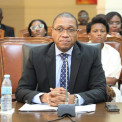 Director para &Aacute;frica, M&eacute;dio Oriente e Organiza&ccedil;&otilde;es Regionais do Minist&eacute;rio das Rela&ccedil;&otilde;es Exteriores, Jorge Catarino Cardoso