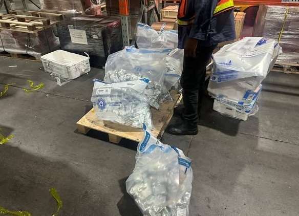Cerca de 100 Kg de coca&iacute;na apreendidos no Aeroporto de Joanesburgo