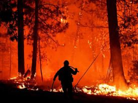 Inc&ecirc;ndios florestais nos EUA obrigam &agrave; evacua&ccedil;&atilde;o de quase 65 mil pessoas - DR