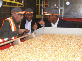 Ministro de Estado para a Coordena&ccedil;&atilde;o Econ&oacute;mica, Jos&eacute; de Lima Massano, inaugura, na prov&iacute;ncia da Hu&iacute;la, f&aacute;brica de processamento de sementes - Edi&ccedil;&otilde;es Novembro