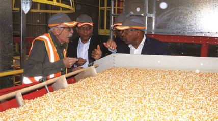 Ministro de Estado para a Coordena&ccedil;&atilde;o Econ&oacute;mica, Jos&eacute; de Lima Massano, inaugura, na prov&iacute;ncia da Hu&iacute;la, f&aacute;brica de processamento de sementes