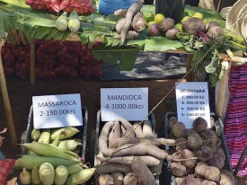 Feira prev&ecirc; criar neg&oacute;cios acima de 100 milh&otilde;es de kwanzas - DR