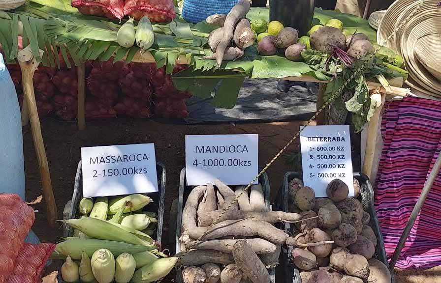 Feira prev&ecirc; criar neg&oacute;cios acima de 100 milh&otilde;es de kwanzas