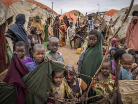 MSF alerta para n&iacute;veis extremos de desnutri&ccedil;&atilde;o infantil na Som&aacute;lia  - DR