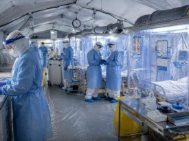 Novo estudo aponta transmiss&atilde;o do &Eacute;bola de animais para seres humanos na RDC - DR