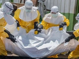 Surto de &Eacute;bola poder&aacute; tornar-se o mais mortal da hist&oacute;ria - OMS  - DR