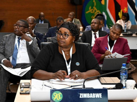 Zimbabwe transfere presid&ecirc;ncia do Conselho de Ministros da SADC para a &Aacute;frica do Sul - DR