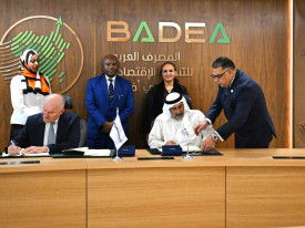 BADEA financia Grupo Omatapalo  - DR