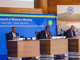 SADC enfrenta momento decisivo para industrializa&ccedil;&atilde;o e integra&ccedil;&atilde;o regional - DR