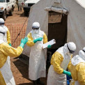 OMS considera poss&iacute;vel controlar o surto de &Eacute;bola na RDC em tr&ecirc;s meses