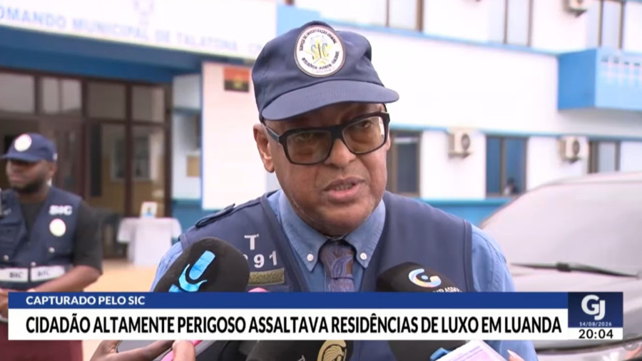 Rede Girassol