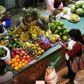 Reformas sustentam perspectivas positivas para economias africanas