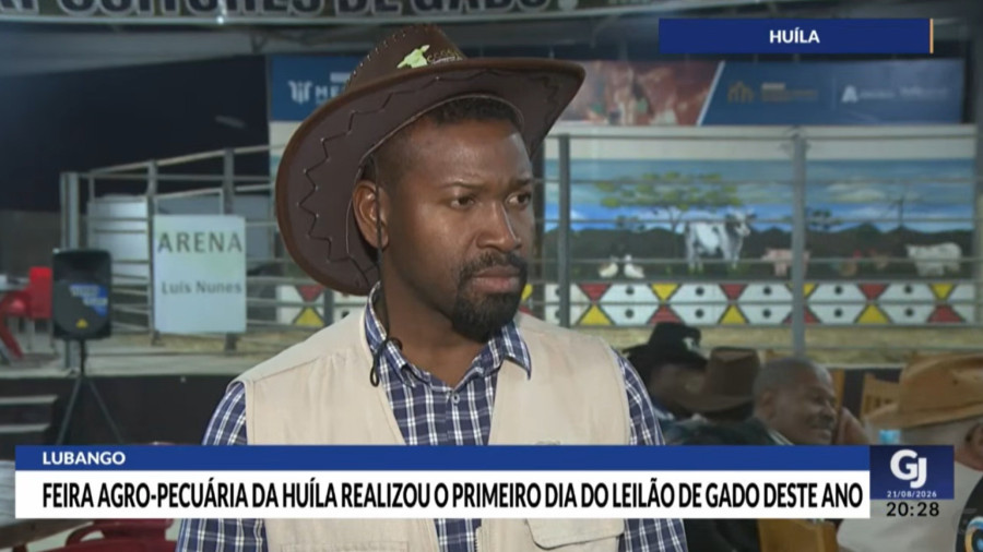Rede Girassol