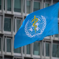 Bandeira da Organiza&ccedil;&atilde;o Mundial da Sa&uacute;de (OMS)