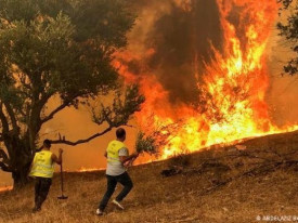 Inc&ecirc;ndios florestais na Arg&eacute;lia provocam 12 mortos e 54 feridos - DR