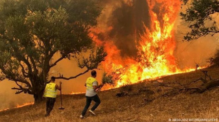 Inc&ecirc;ndios florestais na Arg&eacute;lia provocam 12 mortos e 54 feridos