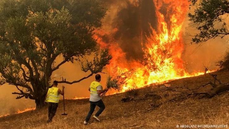Inc&ecirc;ndios florestais na Arg&eacute;lia provocam 12 mortos e 54 feridos