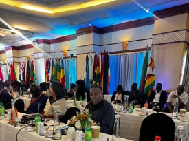 Embaixador de Angola no Zimbabwe, Baltazar Diogo, representou o pa&iacute;s na reuni&atilde;o do Comit&eacute; Regional da Alian&ccedil;a Solar Internacional para &Aacute;frica - Cedida