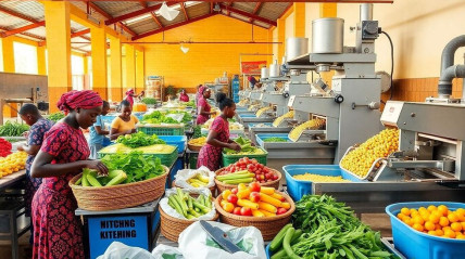 Mobilizados 10 milh&otilde;es de d&oacute;lares para financiar Agroneg&oacute;cios em &Aacute;frica 