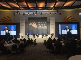 Governo prepara cimeira africana para impulsionar economia do hidrog&eacute;nio verde - DR