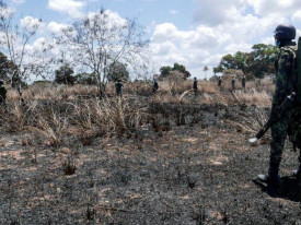 Insurgentes retomam ataques na regi&atilde;o Norte de Mo&ccedil;ambique  - DR