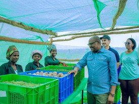  Rwanda lan&ccedil;a programa de financiamento agr&iacute;cola de USD 21 milh&otilde;es - DR
