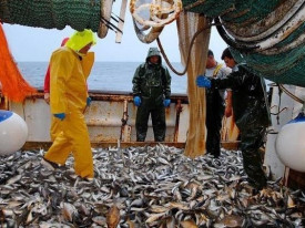 Maurit&acirc;nia refor&ccedil;a import&acirc;ncia estrat&eacute;gica do sector das pescas - DR
