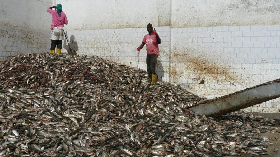 Senegal enfrenta preocupa&ccedil;&otilde;es crescentes sobre explora&ccedil;&atilde;o dos recursos pesqueiros