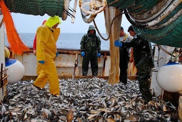 Maurit&acirc;nia refor&ccedil;a import&acirc;ncia estrat&eacute;gica do sector das pescas