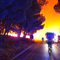 Inc&ecirc;ndio florestal obriga &agrave; retirada de cerca de 700 pessoas na ilha croata de Bra?
