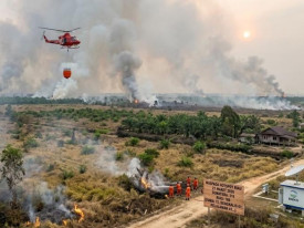 Inc&ecirc;ndios florestais alastram em v&aacute;rias regi&otilde;es da Indon&eacute;sia - DR