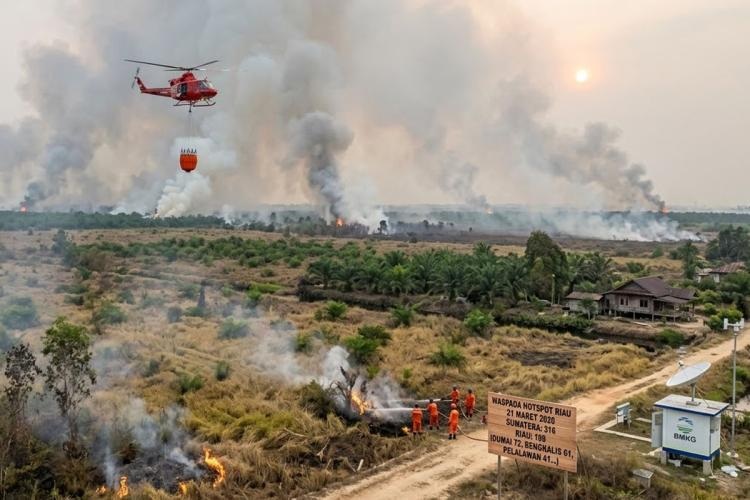 Inc&ecirc;ndios florestais alastram em v&aacute;rias regi&otilde;es da Indon&eacute;sia