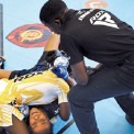 Combate de Artes Marciais Mistas