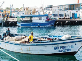 Barcos de pesca - DR