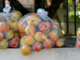 Governo pro&iacute;be importa&ccedil;&atilde;o, produ&ccedil;&atilde;o e comercializa&ccedil;&atilde;o de pl&aacute;sticos ultraleves  - DR