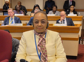 Secret&aacute;ria de Estado para as Rela&ccedil;&otilde;es Exteriores, Esmeralda Mendon&ccedil;a, na reuni&atilde;o das Na&ccedil;&otilde;es Unidas - MIREX