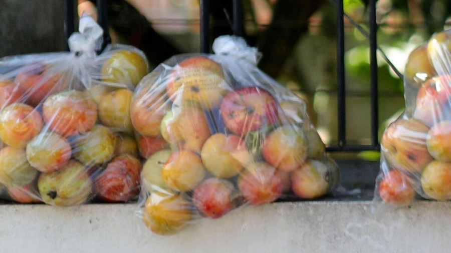 Governo pro&iacute;be importa&ccedil;&atilde;o, produ&ccedil;&atilde;o e comercializa&ccedil;&atilde;o de pl&aacute;sticos ultraleves 