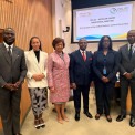 Delega&ccedil;&atilde;o chefiada pela secret&aacute;ria de Estado para as Rela&ccedil;&otilde;es Exteriores, Esmeralda Mendon&ccedil;a, que representou Angola na reuni&atilde;o entre a Uni&atilde;o Africana e a CELAC
