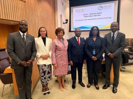 Delega&ccedil;&atilde;o chefiada pela secret&aacute;ria de Estado para as Rela&ccedil;&otilde;es Exteriores, Esmeralda Mendon&ccedil;a, que representou Angola na reuni&atilde;o entre a Uni&atilde;o Africana e a CELAC - MIREX