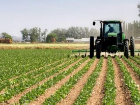 It&aacute;lia selecciona 20 empresas agr&iacute;colas angolanas para interc&acirc;mbio - DR