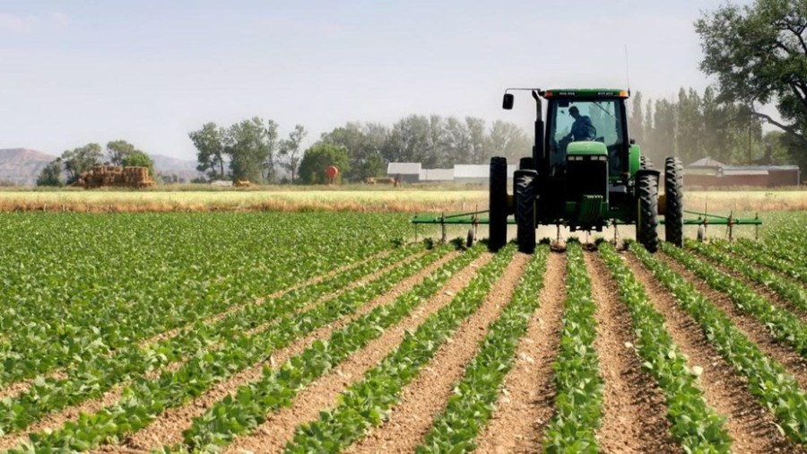 It&aacute;lia selecciona 20 empresas agr&iacute;colas angolanas para interc&acirc;mbio
