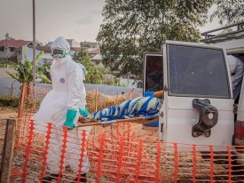 Mais de oito mil casos de &Eacute;bola confirmados na RDC  - DR