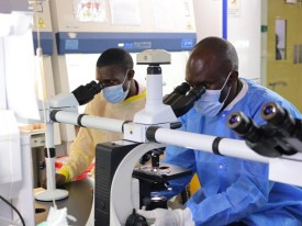 Uganda refor&ccedil;a prepara&ccedil;&atilde;o para epidemias com apoio europeu - DR